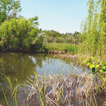 Pian Del Pigro Villa Rimini Bagian luar foto